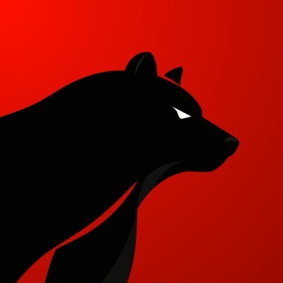 Bearish IN logo