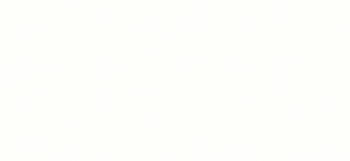 White Monday logo