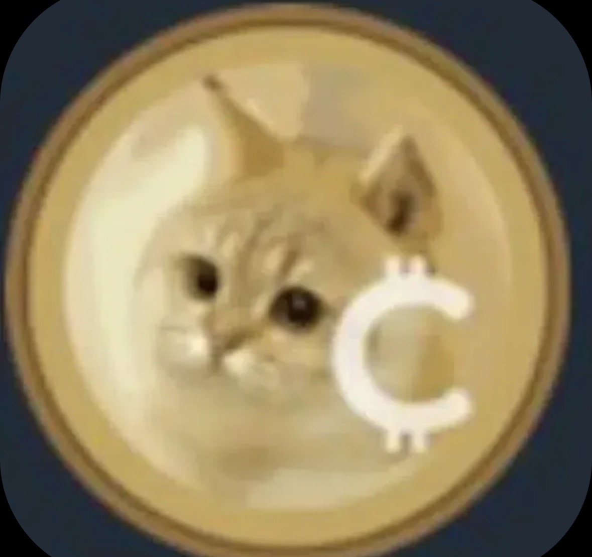 Cat Coin logo