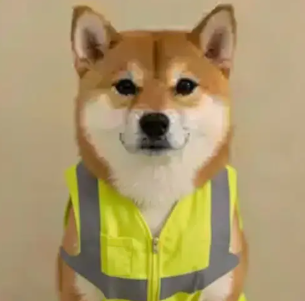 Gilet Jaune logo