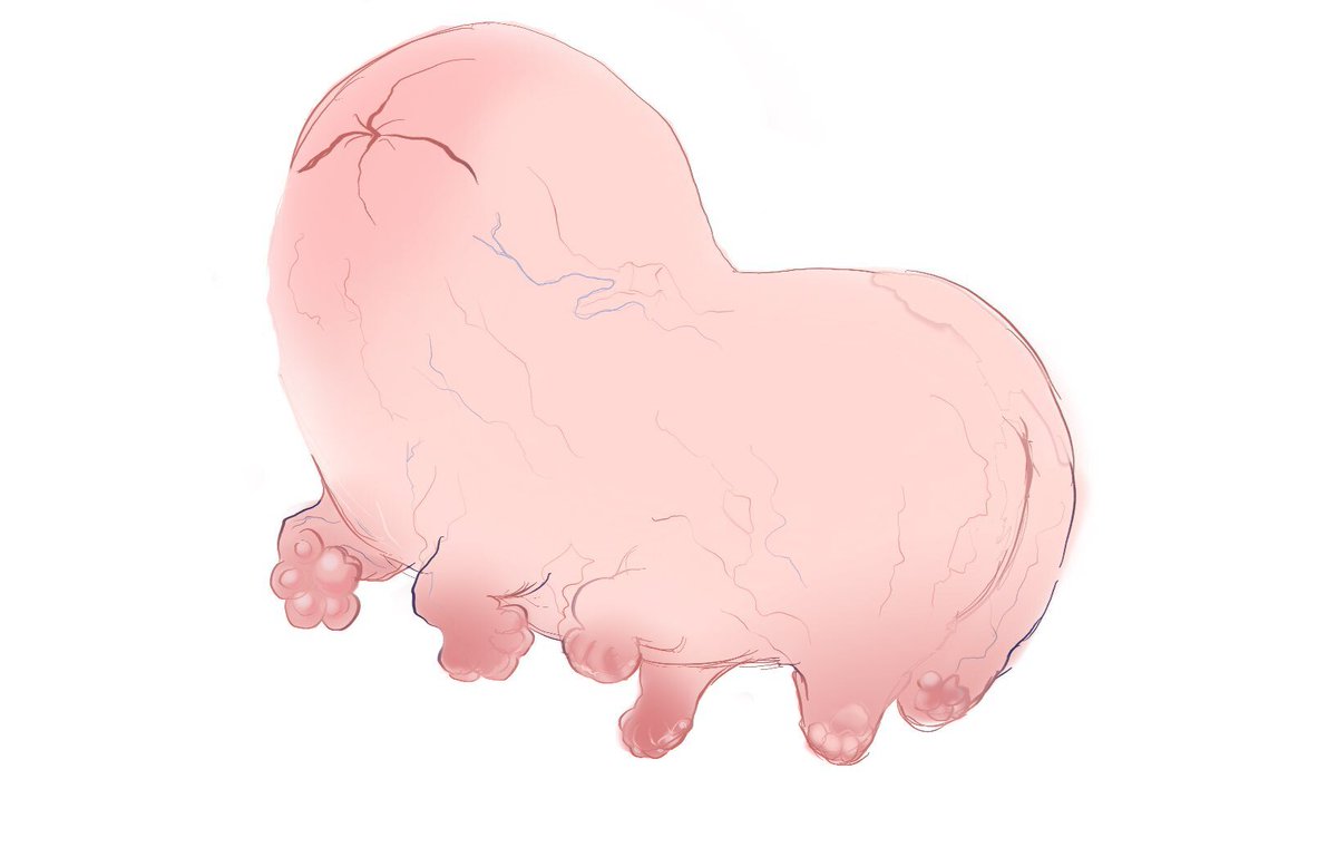 meatball logo
