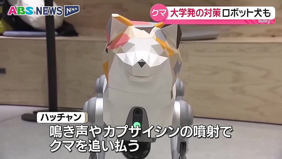 Robot Doge logo