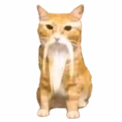 ni hao fine shyt logo