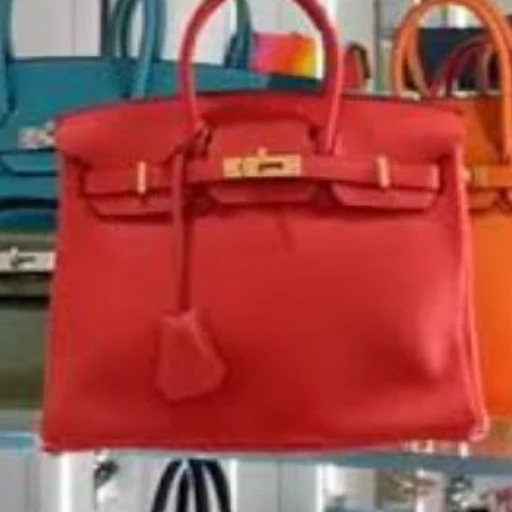 Hermes Bag logo