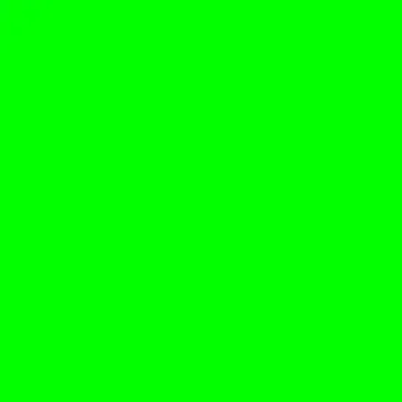 Green Monday logo