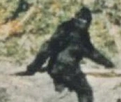 Bigfoot logo