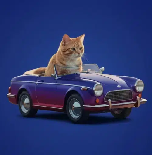 catandcar logo