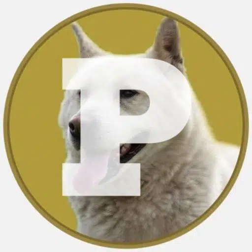 PhungsanCoin logo