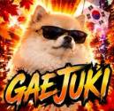 Gaejuki logo