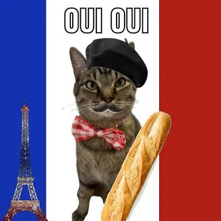 Oui Oui Cat logo