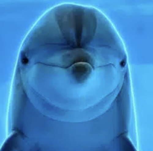 DolphinGemma logo