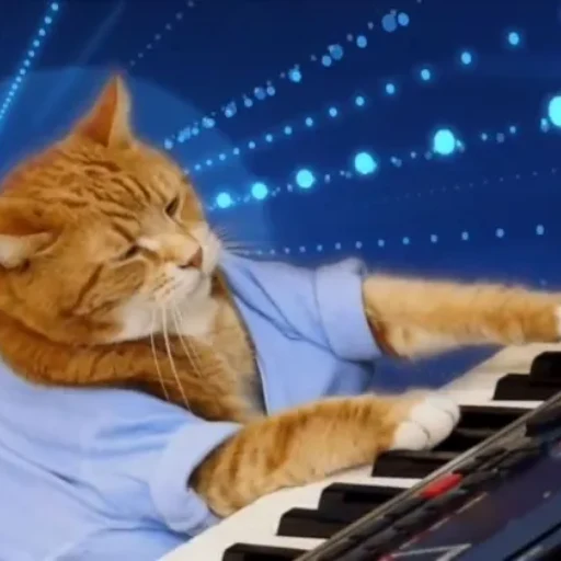Bento The Keyboard Cat logo