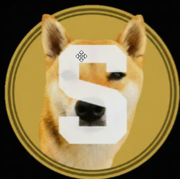 San⁠coin logo