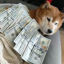 Universal High Income Inu logo