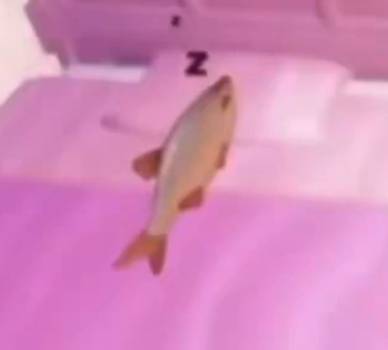 Sleepy Fish logo