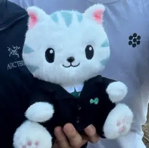 Hyperliquid Cat logo