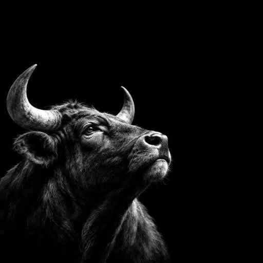 The Bull logo