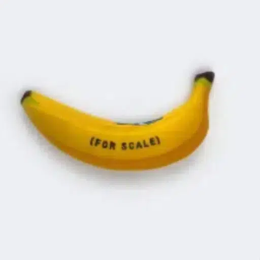 banana for scale logo