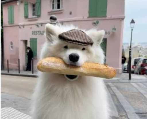 France is dead, send this  logo