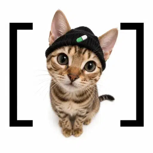 [bracat] logo