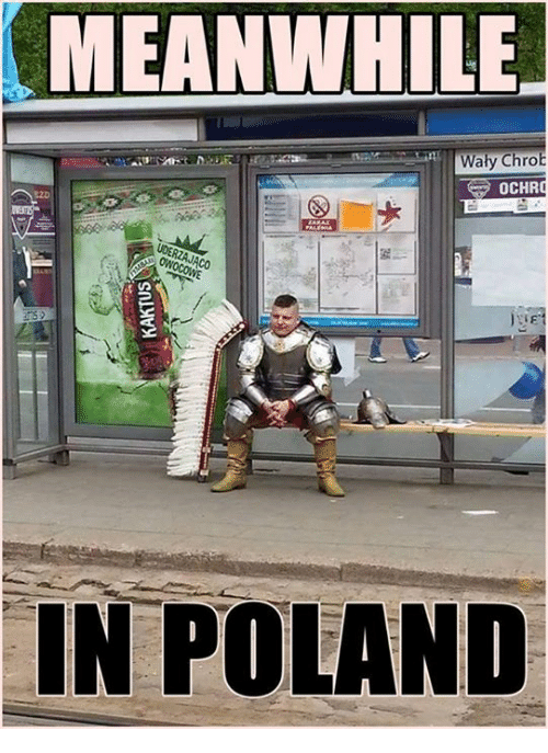 Meanwhile in Poland logo