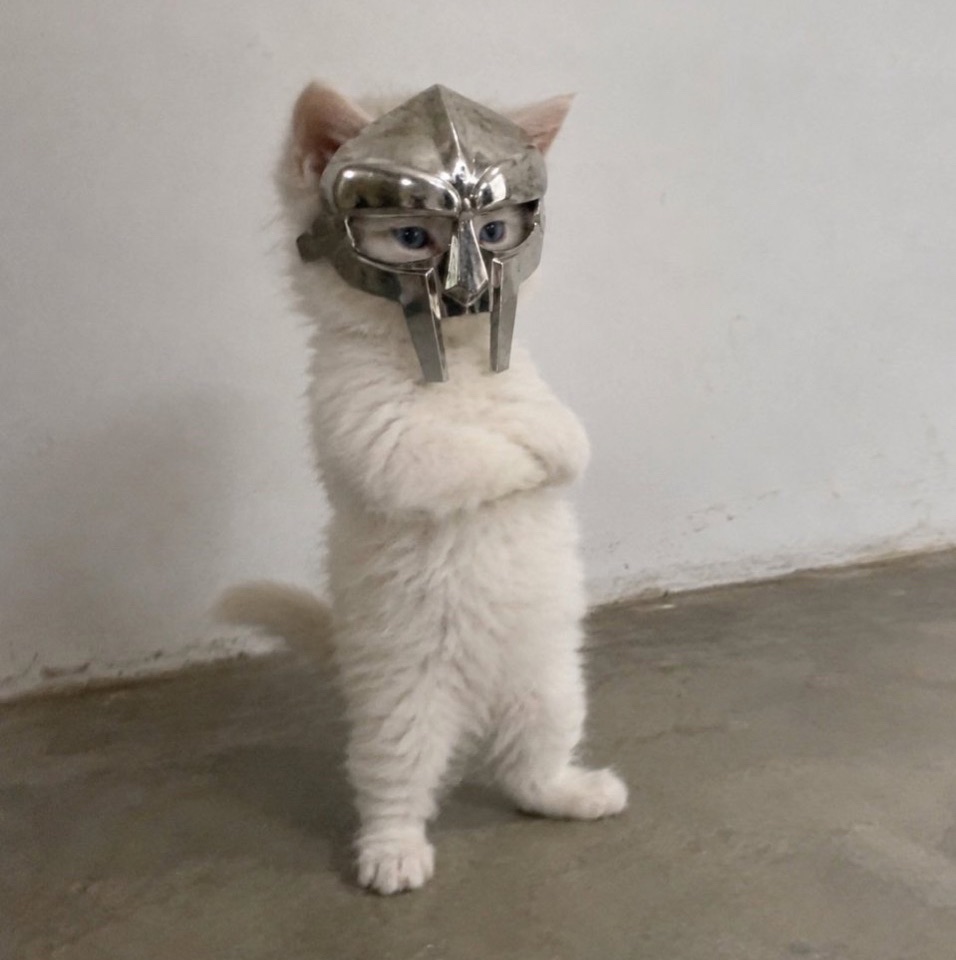 The Doom Cat logo