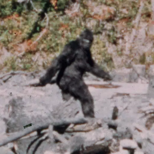 The Bigfoot Hoax logo