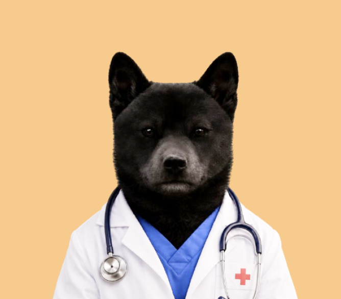 dogtor logo