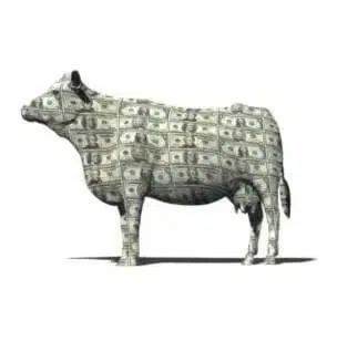 cashcow logo