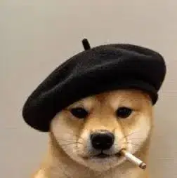 dogwifberet logo
