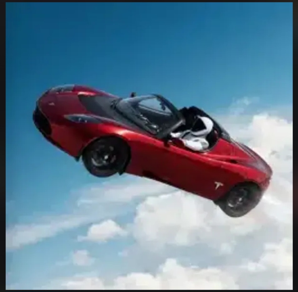 Flying Tesla Roadter logo