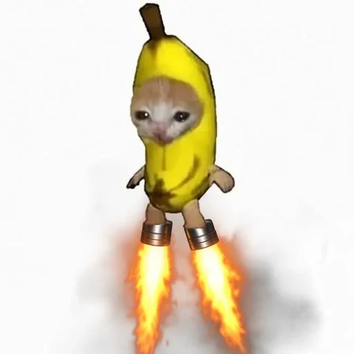 Flying Banana Cat logo