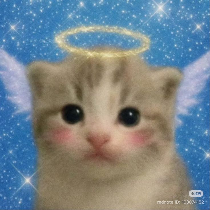 Lucy The Angel logo