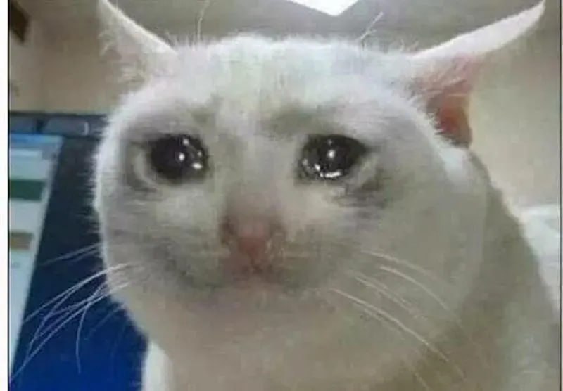 crying cat logo