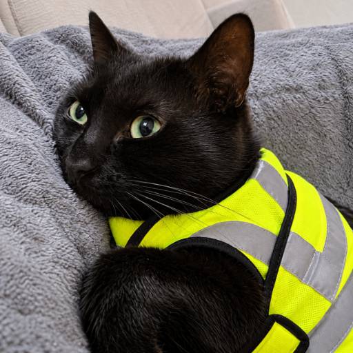 Le Gilet Jaune logo