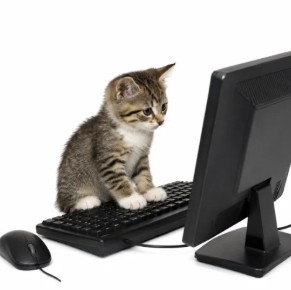 catoncomputer logo