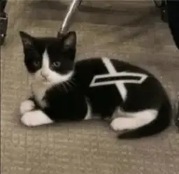 XCAT logo