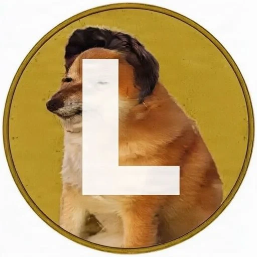 Le Elon Coin logo