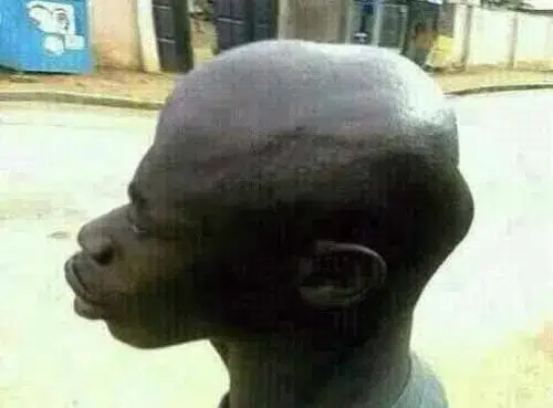 JIGABOO logo
