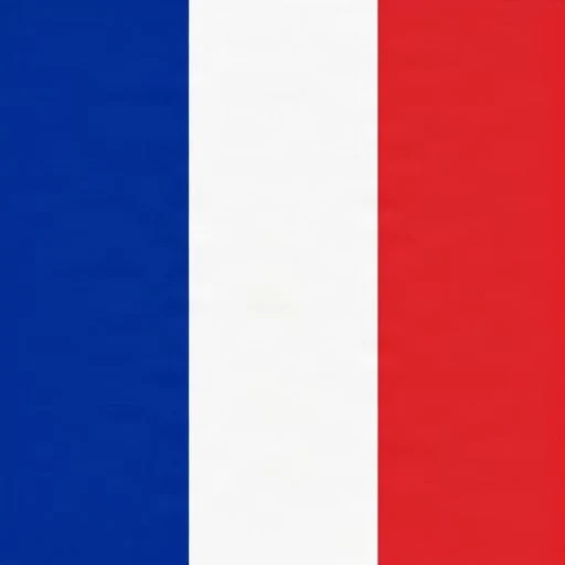 Make France Great Again logo