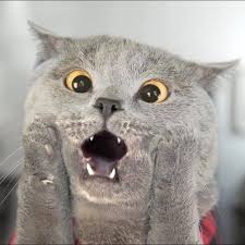 Chartreux  logo