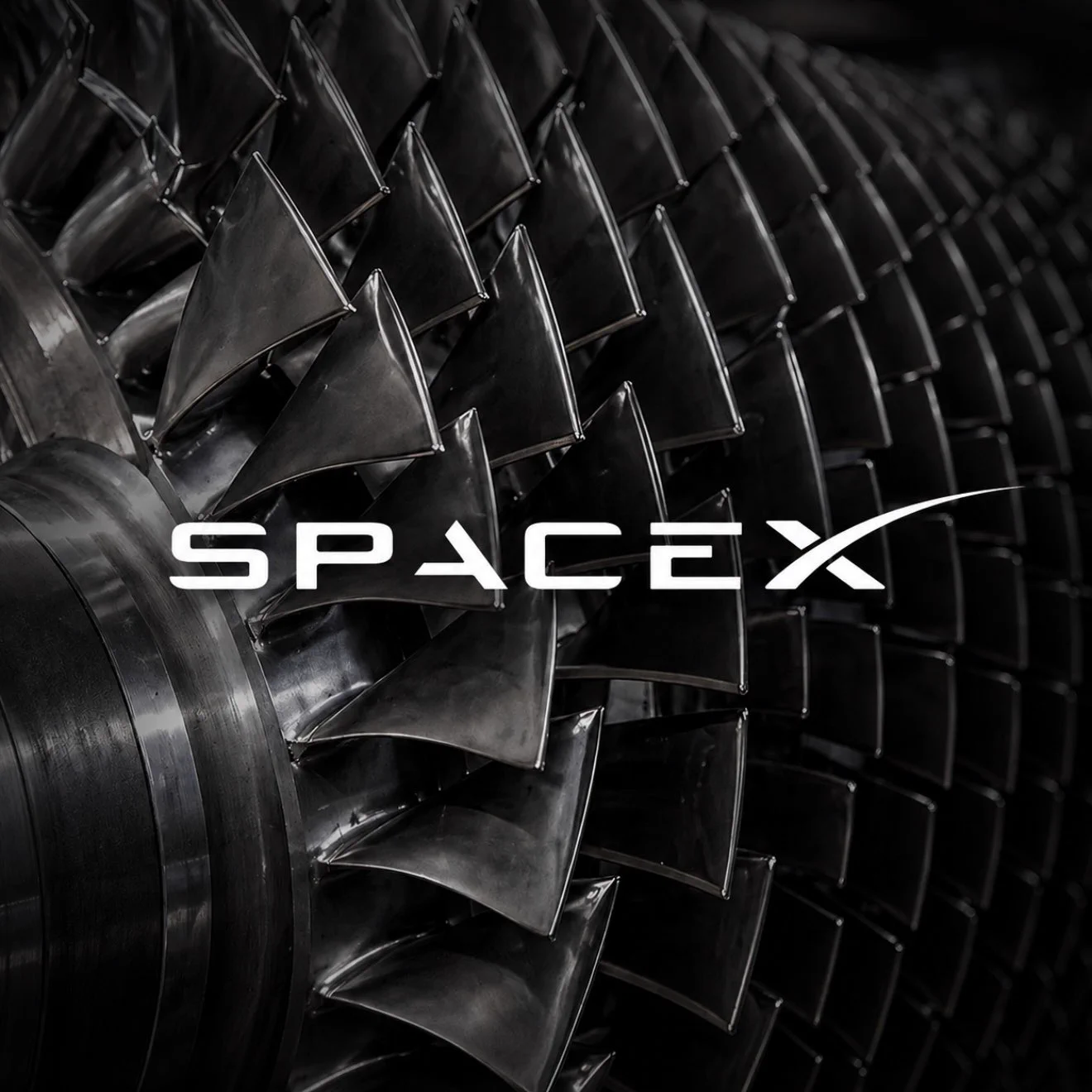 SpeedTesla logo