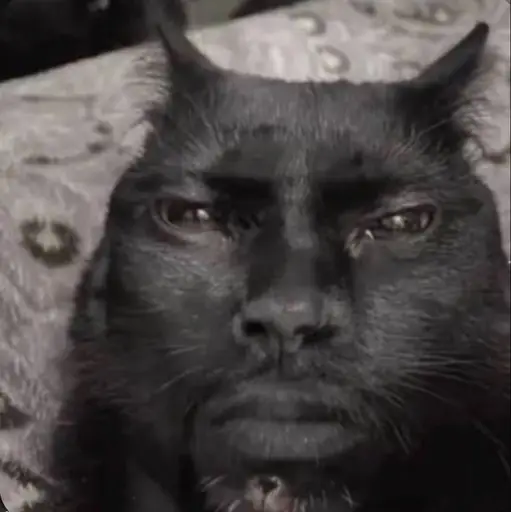 NIGGER CAT logo