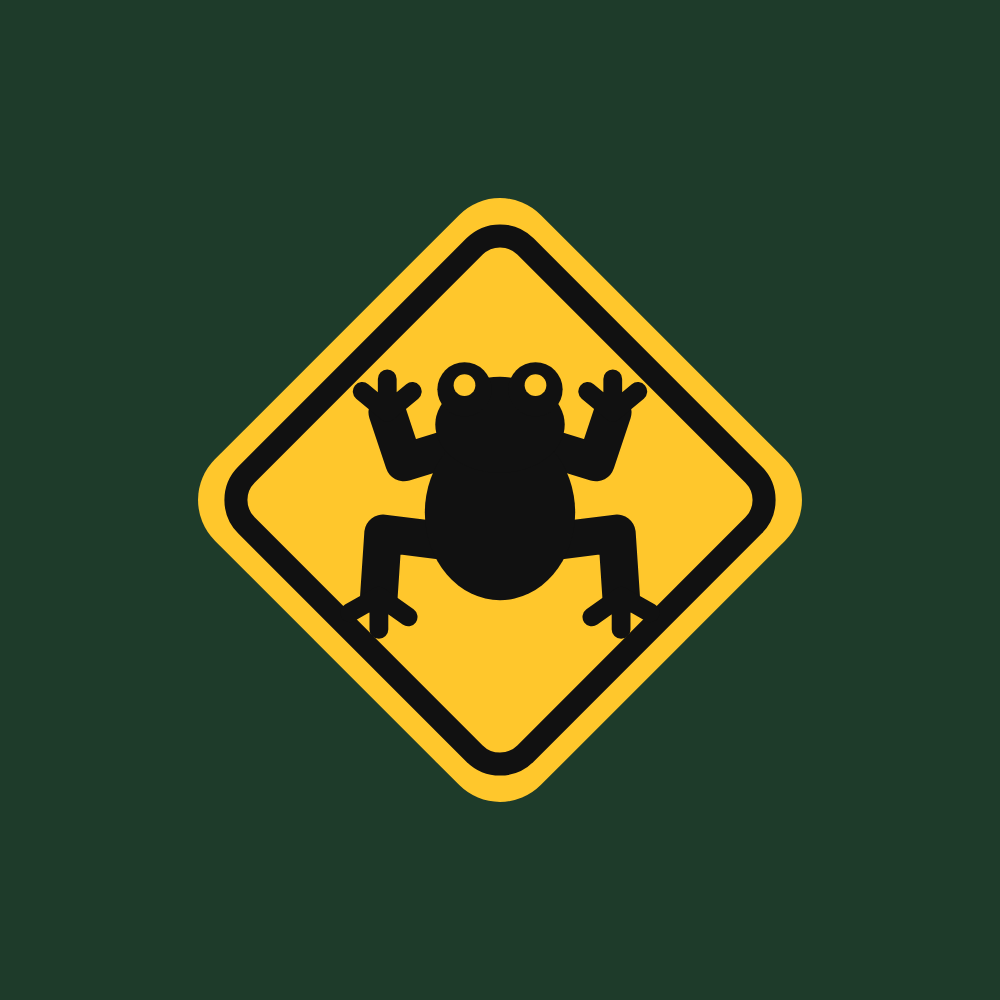 toadtrip.fun logo
