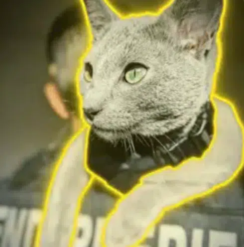 The French Police Cat logo