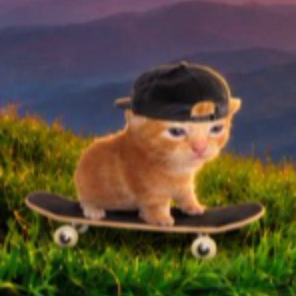 cat on board logo
