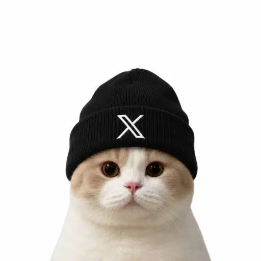 XCAT logo