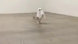 boo logo