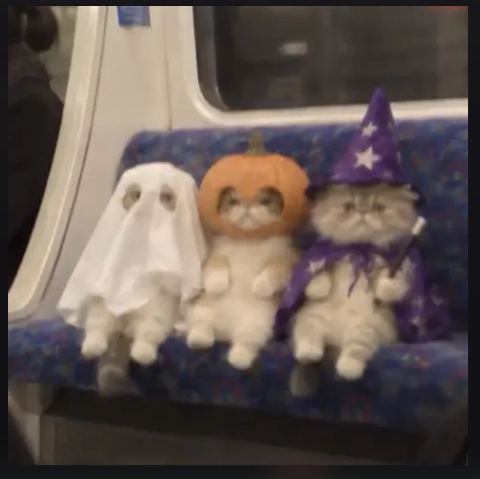 Halloween cats logo