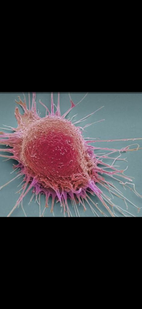 Cancer2026 logo